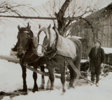 Bursche mit Pferdegespann im Winter